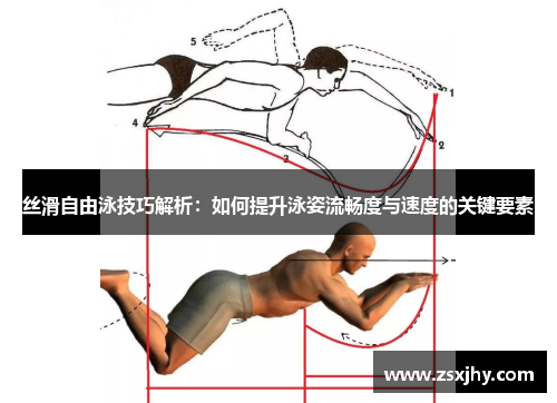 丝滑自由泳技巧解析：如何提升泳姿流畅度与速度的关键要素