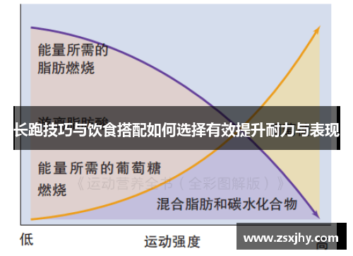 长跑技巧与饮食搭配如何选择有效提升耐力与表现